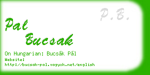 pal bucsak business card